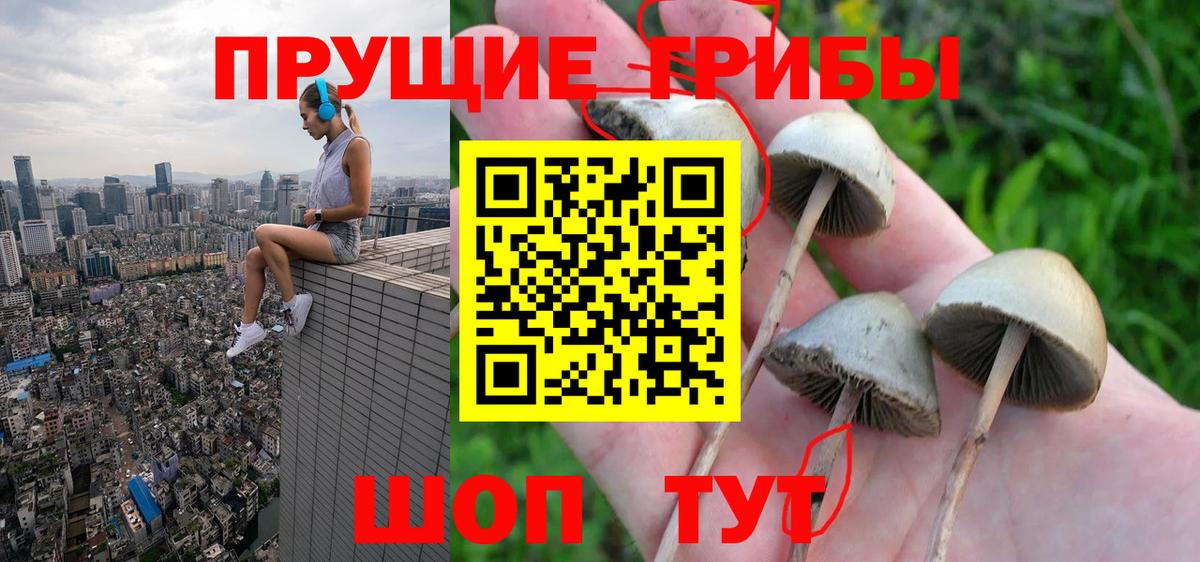 Псилоцибиновые грибы мицелий Салехард