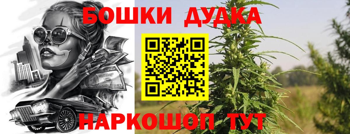 Бошки Шишки планчик Салехард